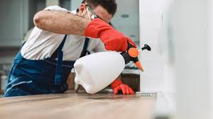 Best Commercial Pest Control  in Bayport, MN